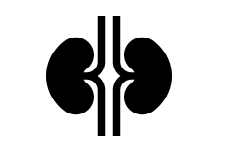 Nephrology - Medical Billing Company