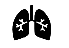 Pulmonology - Medical Billing Company