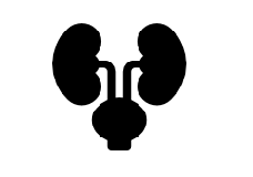 Urology - Medical Billing Company
